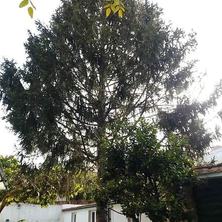 Σπίτι διακοπών Xeitosa Ii, En El Centro De *