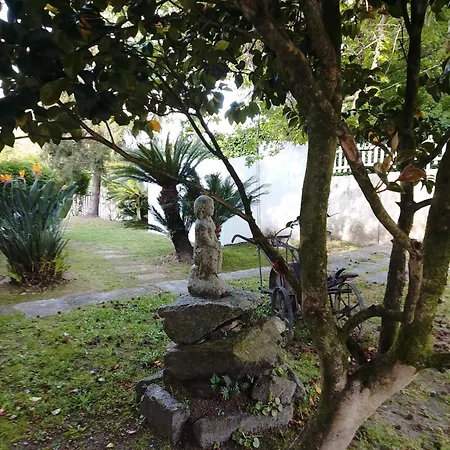 Xeitosa Ii, En El Centro De * Βίγκο